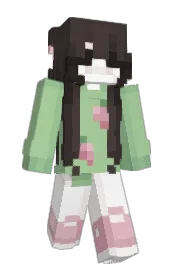 Skin preview
