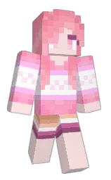 Minecraft skin — Classic model