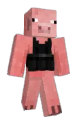 PoopBarf