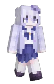 Skin preview