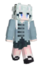 Skin preview