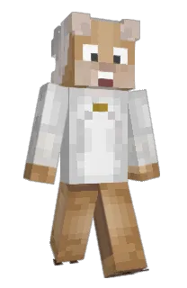 Front of 18kmm's skin
