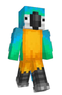 Front of StarryPoet's skin