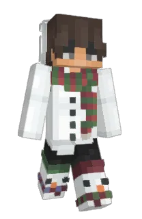 Front of AidsMC's skin