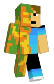 Skin preview