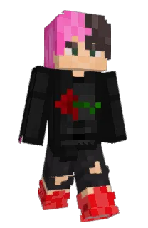 RobNob33's Minecraft skin