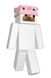 Front of ZolnierzZUkrainy's skin
