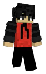 Minecraft skin — Classic model