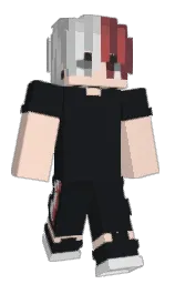 Minecraft skin — Classic model