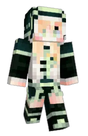 Skin preview