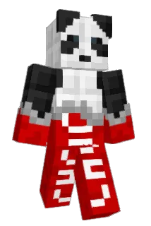 27Niki08 Minecraft avatar full body