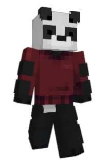 Front of willpilled's skin