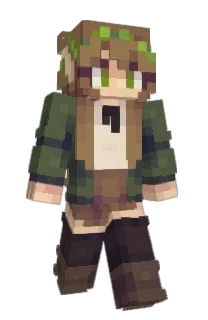 Front of RinElf's skin