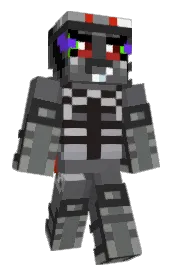 Skin preview
