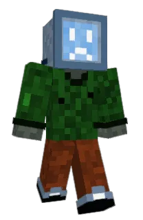 Front of wowplaynow's skin