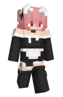 Front of Nanofull's skin