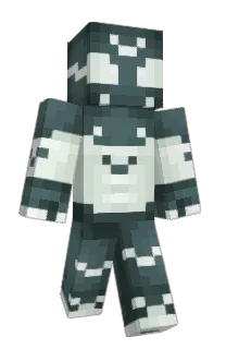 Front of Arachniballs's skin