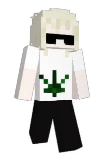 27iperhp Minecraft avatar full body
