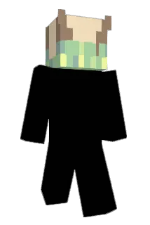 2807 Minecraft avatar full body