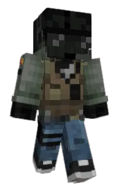 Skin preview