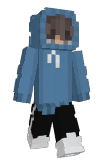 Front of xperts's skin