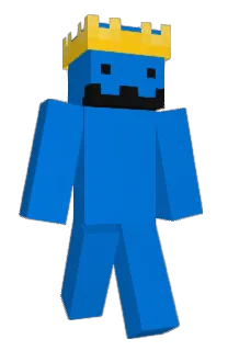 Front of Ronett's skin