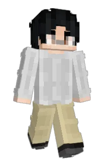 Front of PhasingDice's skin