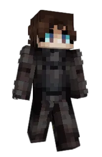 Front of _Sky_Net_'s skin