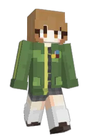 Skin preview