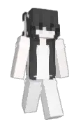 yPoac