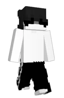 Front of Phygonite's skin