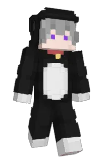 Front of roopic's skin