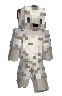 Front of doqs's skin