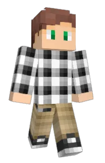 Front of askolotl's skin