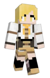 Skin preview