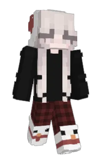 Front of Pandda's skin