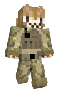 Front of Minecraft skin