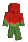 lsdmt