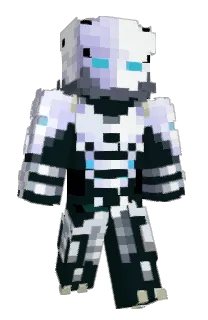 Front of knacam's skin