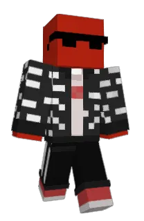 Front of Mister1234's skin