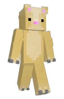 Front of NotWzl's skin