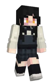 Front of Rayovac_litio's skin