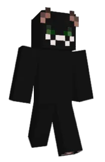 Front of kanga_san's skin