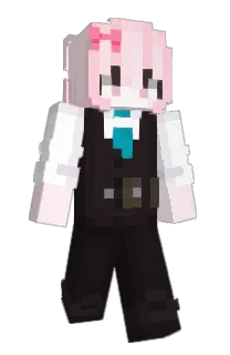 Front of Walksy's skin