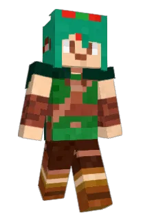 Front of smileyhead's skin