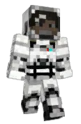 andrevisk