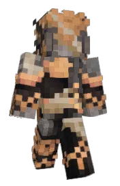Skin preview