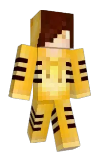 Front of free_elo_kimchi's skin