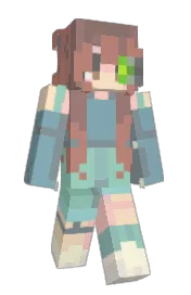 Skin preview