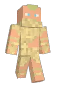 Programer025